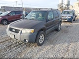 Ford Escape Xlt/Xlt Sport 1FMYU93117KA92262 снимка