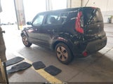 Miniaturka zdjęcia 3
