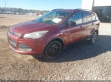 Miniaturka zdjęcia 2
