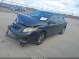 Toyota Corolla Le 1NXBU4EE7AZ229113 снимка