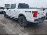 Ford F-150 Xlt 1FTEW1EF3HKC65616 снимка