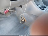 Toyota Tacoma Base V6 5TFLU4ENXBX014267 снимка