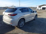 Miniaturka zdjęcia 4