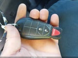 Miniaturka zdjęcia 11