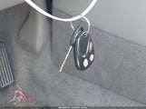 Miniaturka zdjęcia 11
