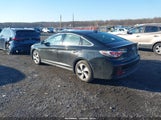 Miniaturka zdjęcia 3