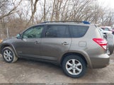 Toyota Rav4 Limited V6 JTMBK31V095078129 photo