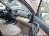 Toyota Rav4 Limited V6 JTMBK31V095078129 photo