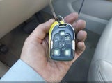 Miniaturka zdjęcia 11