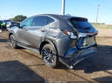 Lexus Nx 250 2T2ADCAZ8SC022565 fotografie