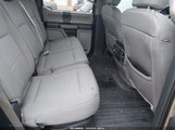 Ford F-150 Xlt 1FTEW1E55LKF31802 снимка