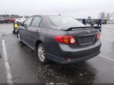 Miniaturka zdjęcia 3