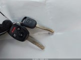 Miniaturka zdjęcia 11