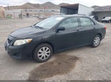 Toyota Corolla Le 2T1BU4EE8AC515036 снимка