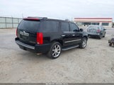 Cadillac Escalade Standard 1GYEC63838R116795 снимка