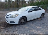 Chevrolet Malibu 1Fl 1G11A5SA7DF276904 снимка
