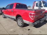 Ford F-150 Xlt 1FTFW1CT3DKF09224 снимка