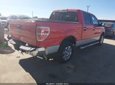 Ford F-150 Xlt 1FTFW1CT3DKF09224 снимка