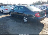 Miniaturka zdjęcia 3