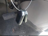 Miniaturka zdjęcia 11