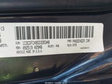 Miniaturka zdjęcia 9