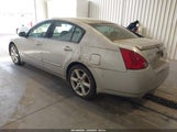 Nissan Maxima 3.5 Se 1N4BA41E84C858589 снимка