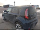 Miniaturka zdjęcia 3
