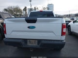 Ford F-150 Xl 1FTFX1E58KKD56641 снимка