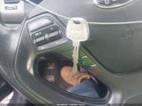 Miniaturka zdjęcia 11