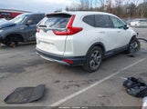 Miniaturka zdjęcia 4
