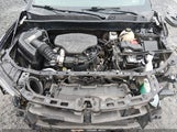 Miniaturka zdjęcia 10