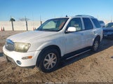 Buick Rainier Cxl 5GAES13M262321802 снимка