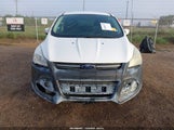 Miniaturka zdjęcia 6