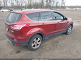 Miniaturka zdjęcia 4