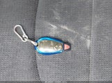 Miniaturka zdjęcia 11