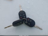 Miniaturka zdjęcia 11