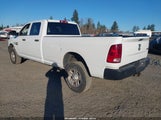 Miniaturka zdjęcia 3