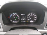 Miniaturka zdjęcia 7