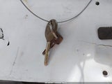 Miniaturka zdjęcia 11