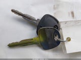 Miniaturka zdjęcia 11