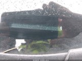 Subaru Legacy 2.5I 4S3BNAA60G3027968 снимка