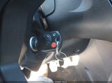 Miniaturka zdjęcia 11