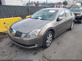 Nissan Maxima 3.5 Sl 1N4BA41E65C843283 снимка