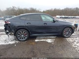 BMW X6 xDrive40I 5UXCY6C02P9P49293 fotografie