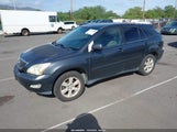 Lexus Rx 330 JTJGA31U940021592 снимка