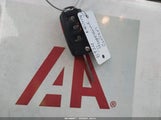 Miniaturka zdjęcia 11