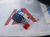 Miniaturka zdjęcia 11