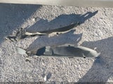 Honda Civic Lx 1HGFA16516L113349 снимка