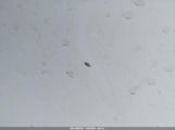 Toyota Yaris JTDJT4K37B5326295 снимка