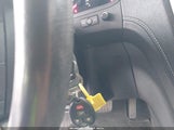Miniaturka zdjęcia 11